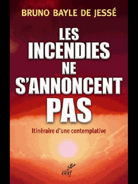 Incendies ne s'annoncent pas, Les (French book)