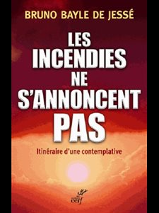 Incendies ne s'annoncent pas, Les (French book)