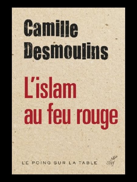 Islam au feu rouge, L'