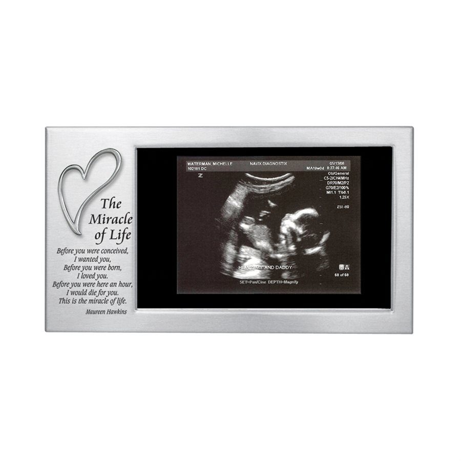 ''The Miracle of Life'' Pewter Frame, 4" x 6", Engli