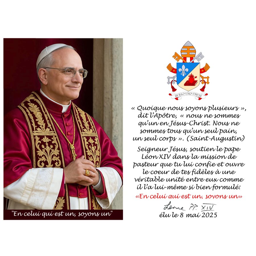 Pope Leo XIV Picture 3'' x 4.5'', French prayer, pack 100