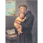 ''St. Anthony' F.B. Series Pictures, 6 x 8" /  ea