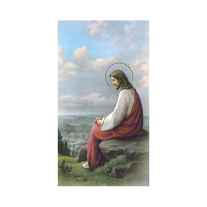 Image série 101 «Jésus Jérusalem», 5,7 x 10 cm / un