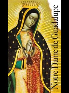 Notre-Dame de Guadalupe (French book)