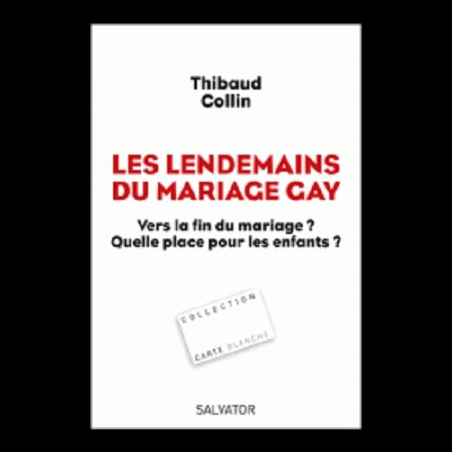 Lendemains du mariage gay, Les (French book)