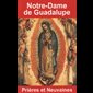 Notre-Dame de Guadalupe - Prières et Neuvaines (French book)