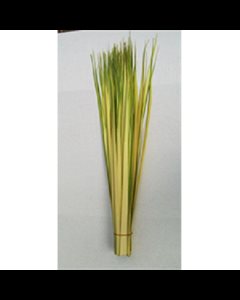 Double Strips Palm, 30'' (76 cm)