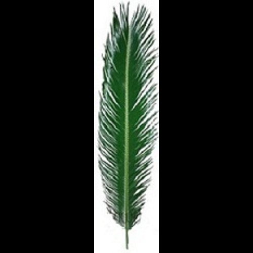 SAGO Natural Palm, 30" (76 cm) approximately